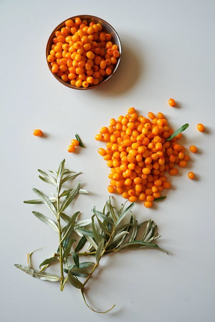 Unlocking Nature’s Best-Kept Secret: What is Wild Sea Buckthorn?